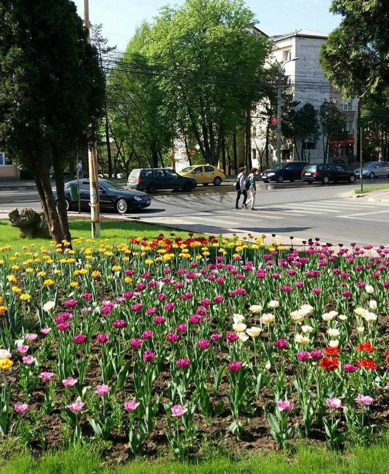 Municipiile Suceava, Iași și Botoșani vor intra în rețeaua orașelor active, inteligente și deschise