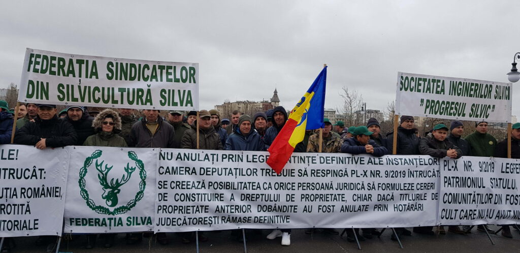 Sindicaliştii din silvicultură, îngrijoraţi că s-ar putea pierde 650.000 de hectare de pădure