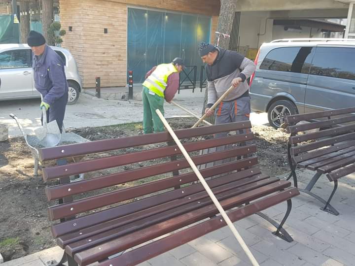 A început plantarea panselelor