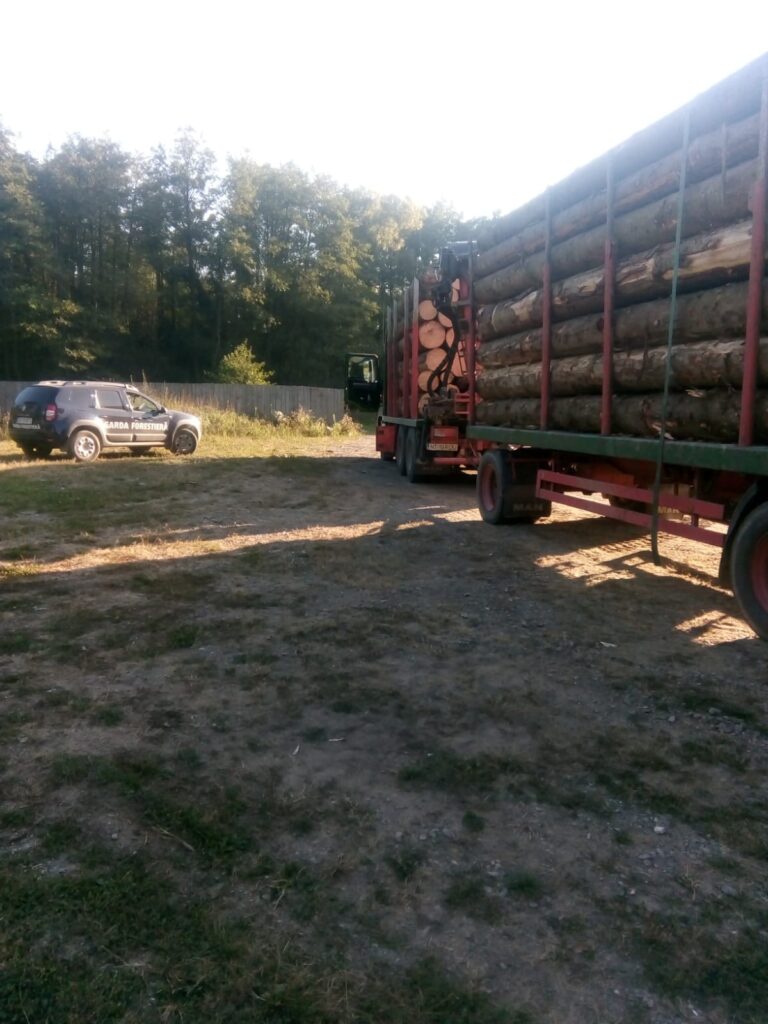 Transporturi ilegale de lemn, depistate de poliţişti
