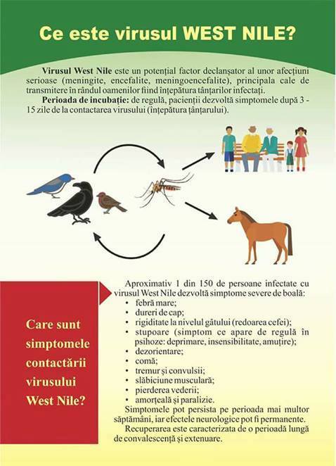Sfaturi pentru prevenirea infectării cu virusul West Nile
