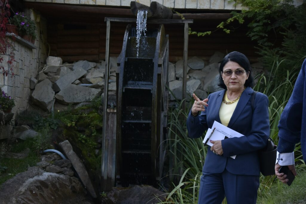 Promisiunea făcută de E. Andronescu la Suceava, o minciună
