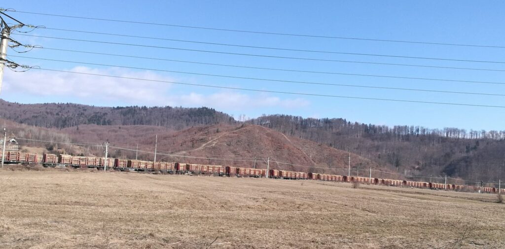Sfioasa Gardă Forestieră Suceava