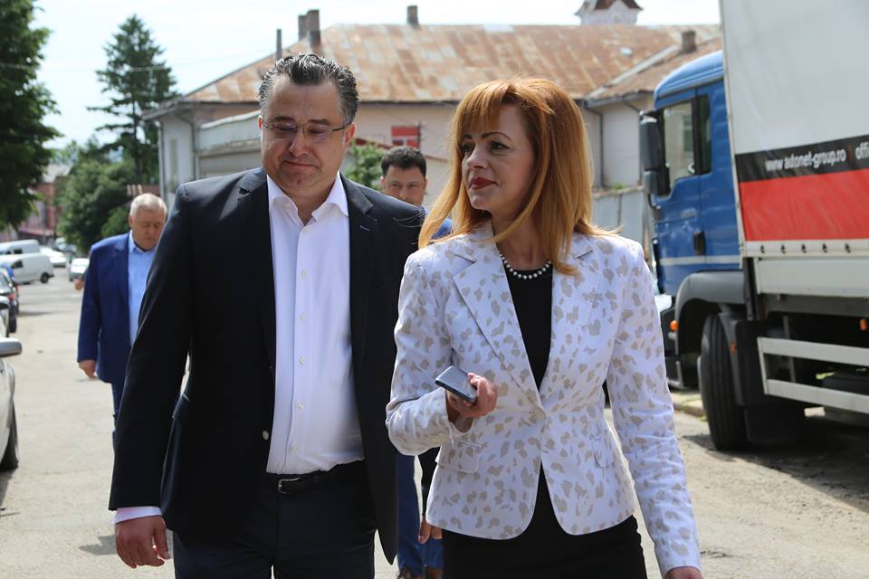 Mirela Adomnicăi, din nou în Parlament