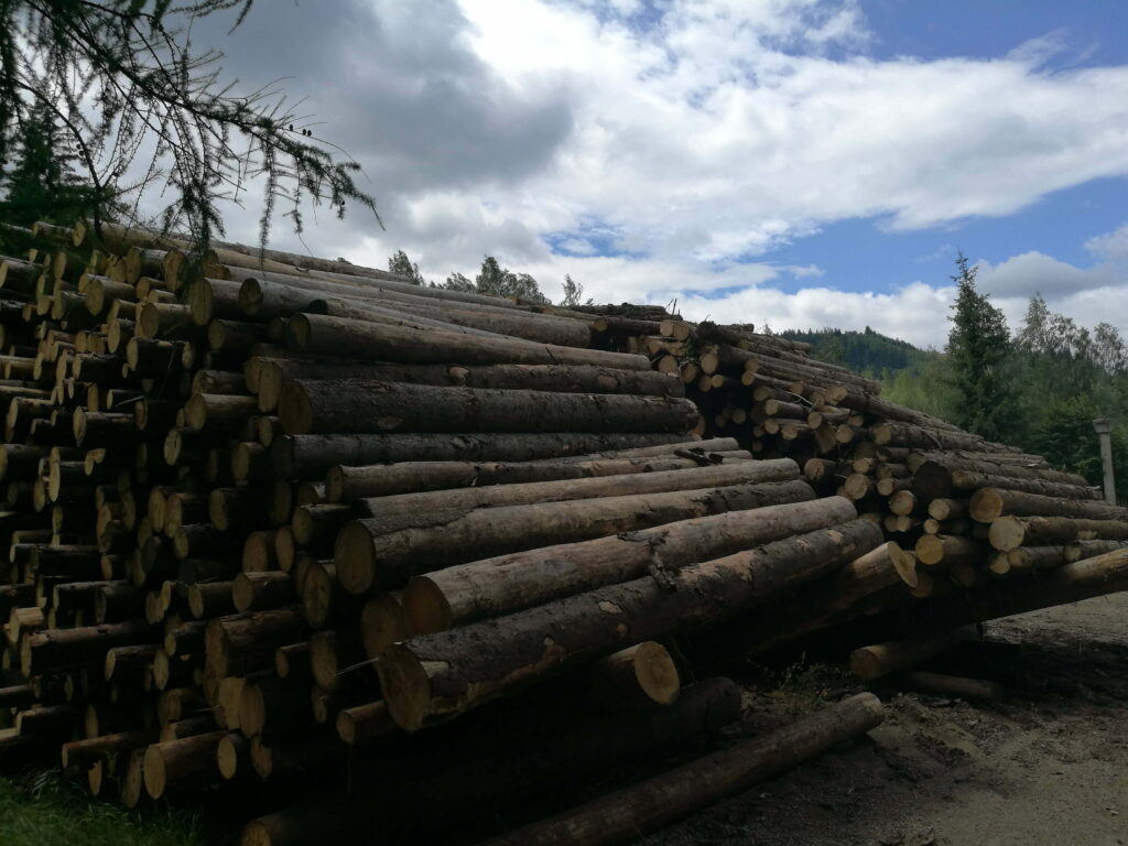 Putna: Lemn în valoare de 4.600 de lei confiscat, şoferul amendat cu 3.000 de lei