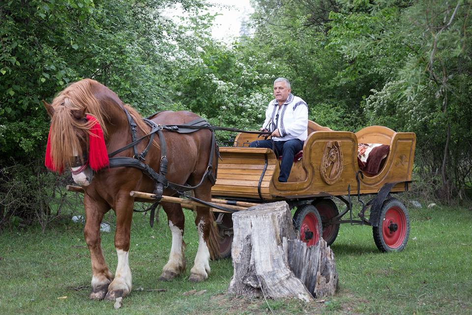 La treabă, nu la întins mîna după icoane şi după voturi!