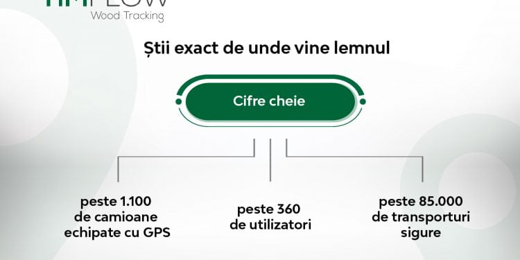 Comunicat HS Timber Group: Sistemul de trasabilitate prin GPS Timflow, știi de unde vine lemnul