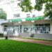 Farmaciile, deschise și pe 1 și 8 iunie