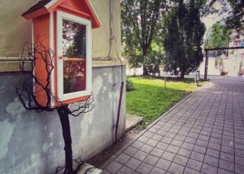 3 cuiburi de cărți, în municipiul Suceava