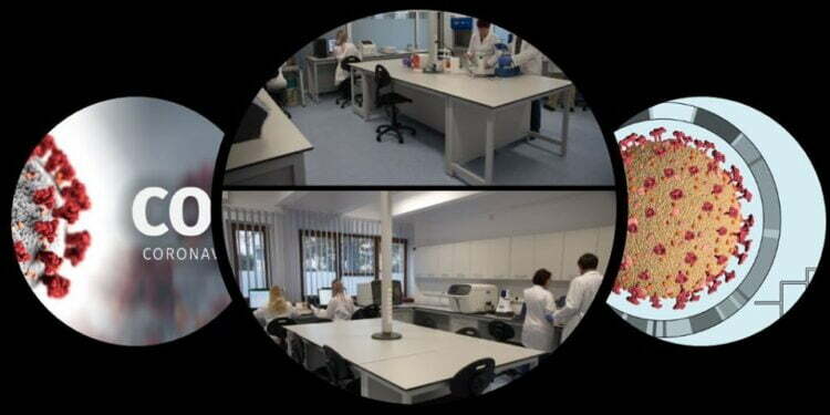 Ia liniște și felicitați-i!