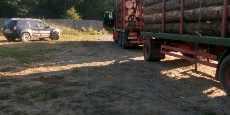 Lemn confiscat, două amenzi și un dosar penal