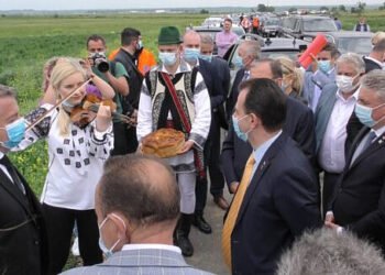 Slugarnicul viceprimar de la Rădăuți