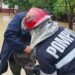 Pompierii suceveni, 54 de intervenții la inundații