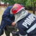 Coduri de vreme rea, pompierii, 242 de intervenții