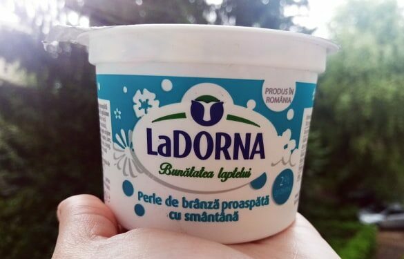 Fabricile Dorna Lactate de la Vatra Dornei și Floreni, închise