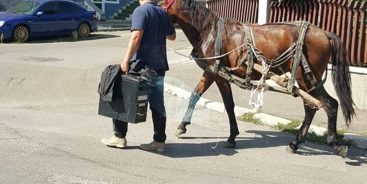 Suceava: Căruțașul amendat și-a luat calul și a plecat
