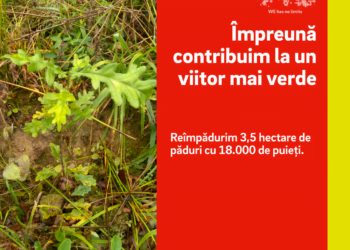 E.ON plantează pomi la Pătrăuți