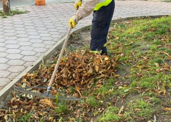 Program pentru colectarea deșeurilor vegetale