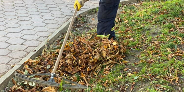 Program pentru colectarea deșeurilor vegetale