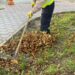 Program pentru colectarea deșeurilor vegetale