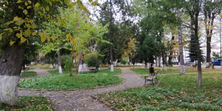 Fălticeni, rată de infectare de 3,03