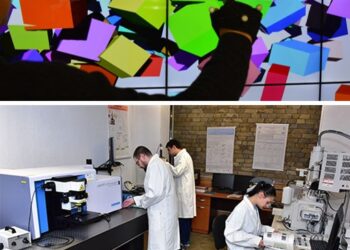USV, două proiecte științifice cu o universitate belgiană