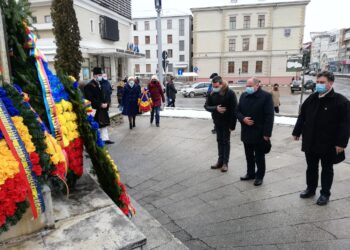 Aceleași coroane plasticate
