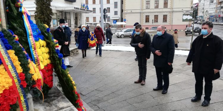 Aceleași coroane plasticate