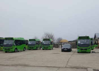 Parcul auto electric, 47 de autobuze