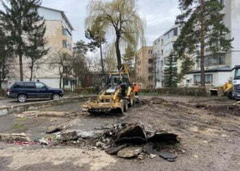 Bazinarii suceveni, lăsați fără simbol