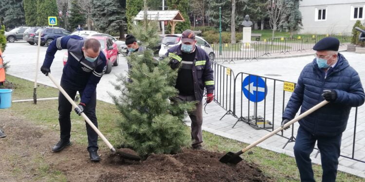 Campanie de plantare a pomilor