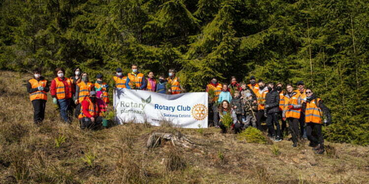 Voluntari din Botoșana, împăduriri la Stulpicani