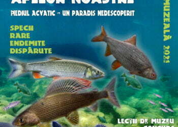 Muzeul de Științele Naturii, lecții despre pești