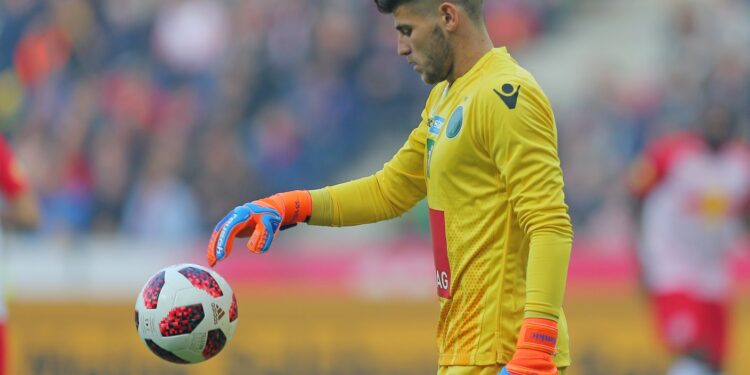 Bucovina și bosniacul născut în Austria