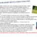 Vatra Dornei: Garduri distruse de un urs