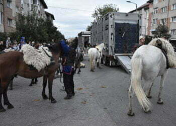 Festivalul Medieval: Cai, focuri și poate paradă