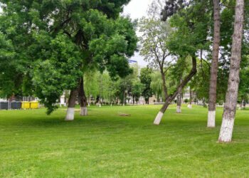 Viitoarea facultate de medicină: Discuții CJ-Ministerul Sănătății