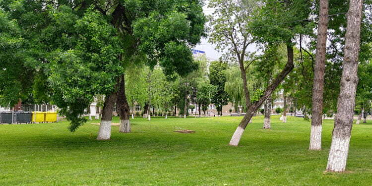 Viitoarea facultate de medicină: Discuții CJ-Ministerul Sănătății