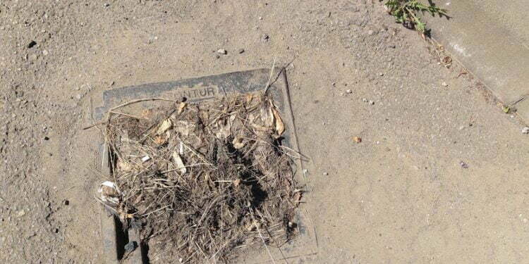 Suceava, New York-ul Europei