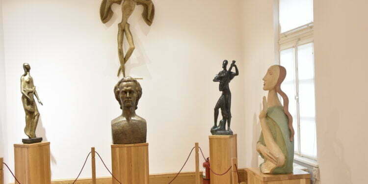 Muzeul ”Ion Irimescu”, prea aglomerat