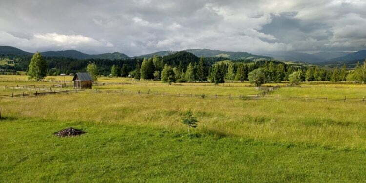 Șaru Dornei, în așteptarea unei pîrtii de schi