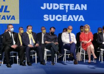 Flutur, reales președinte PNL