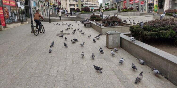 Comisia Tehnică Urbanism are nevoie de schimbări