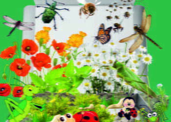 Concurs de machete, la Muzeul de Științele Naturii