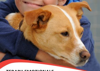 Program pentru sănătatea copiilor