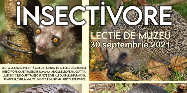 Muzeul de Științele Naturii: Lecții despre mamifere