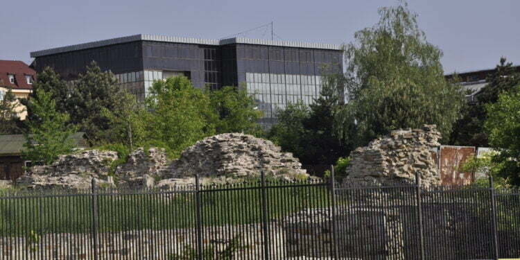 Curte Domnească ne trebuia nouă