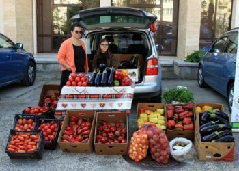 Păcat de inițiativă și de muncă