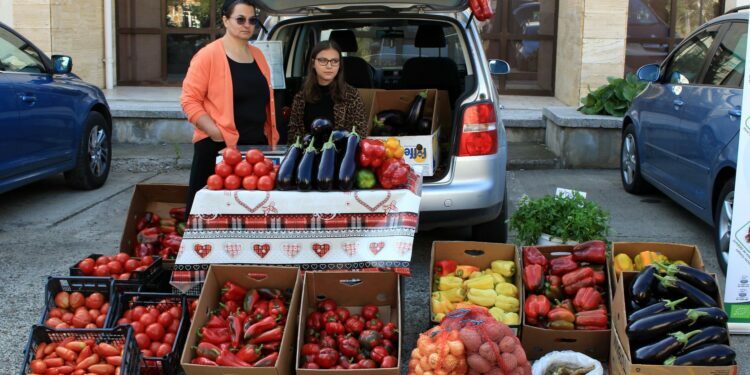 Păcat de inițiativă și de muncă