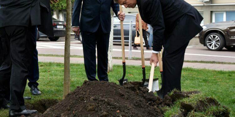 Mihai Dimian are dreptate. Dar nu are cu cine